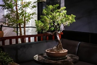 「ビストロ ド ダリエール レ ファゴ802」(八王子市旭町)2.jpg