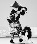 ドッグダンス 伊藤哲朗2.jpg