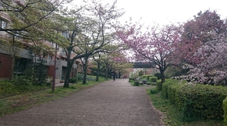 ベルコリーヌ南大沢2.JPG