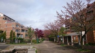 ベルコリーヌ南大沢3.JPG