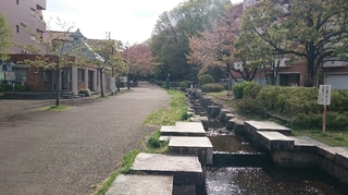 ベルコリーヌ南大沢4.JPG