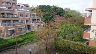 ベルコリーヌ南大沢6.JPG