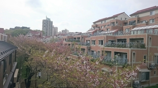 ベルコリーヌ南大沢7.JPG