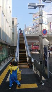 マルベリーブリッジ11.JPG