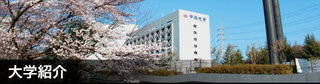 中央大学.jpg