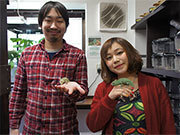 八王子に爬虫類専門店「R.A.C.」.jpg