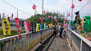 南浅川の鯉のぼり3.JPG