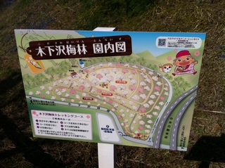 木下沢梅林2.jpg