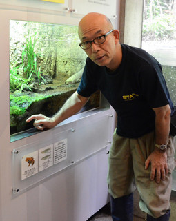 水族園内に展示されている「東京めだか」.jpg