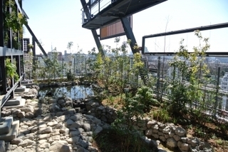 豊島区新庁舎5.jpg