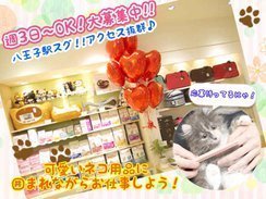 neco sekai 八王子OPA店.jpg